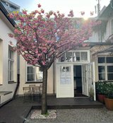 Event-Bild Ausstellung Design with a purpose