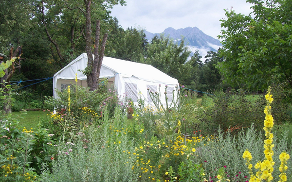 ein weißer Pavillon steht in einem grünen Garten hinter dicht wachsenden Kräutern und Pflanzen.