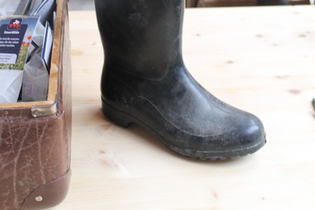 bepflanzter Gummistiefel bepflanzter_Gummistiefel_Wiesenrock_Klimabuendnis.JPG